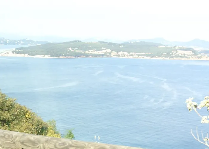 아파트 Enzo Paradise *